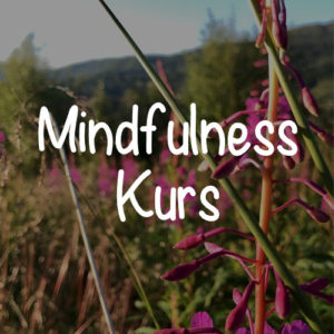 kurs i mindfulness